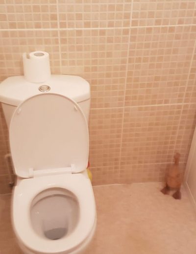 Bathroom Refit